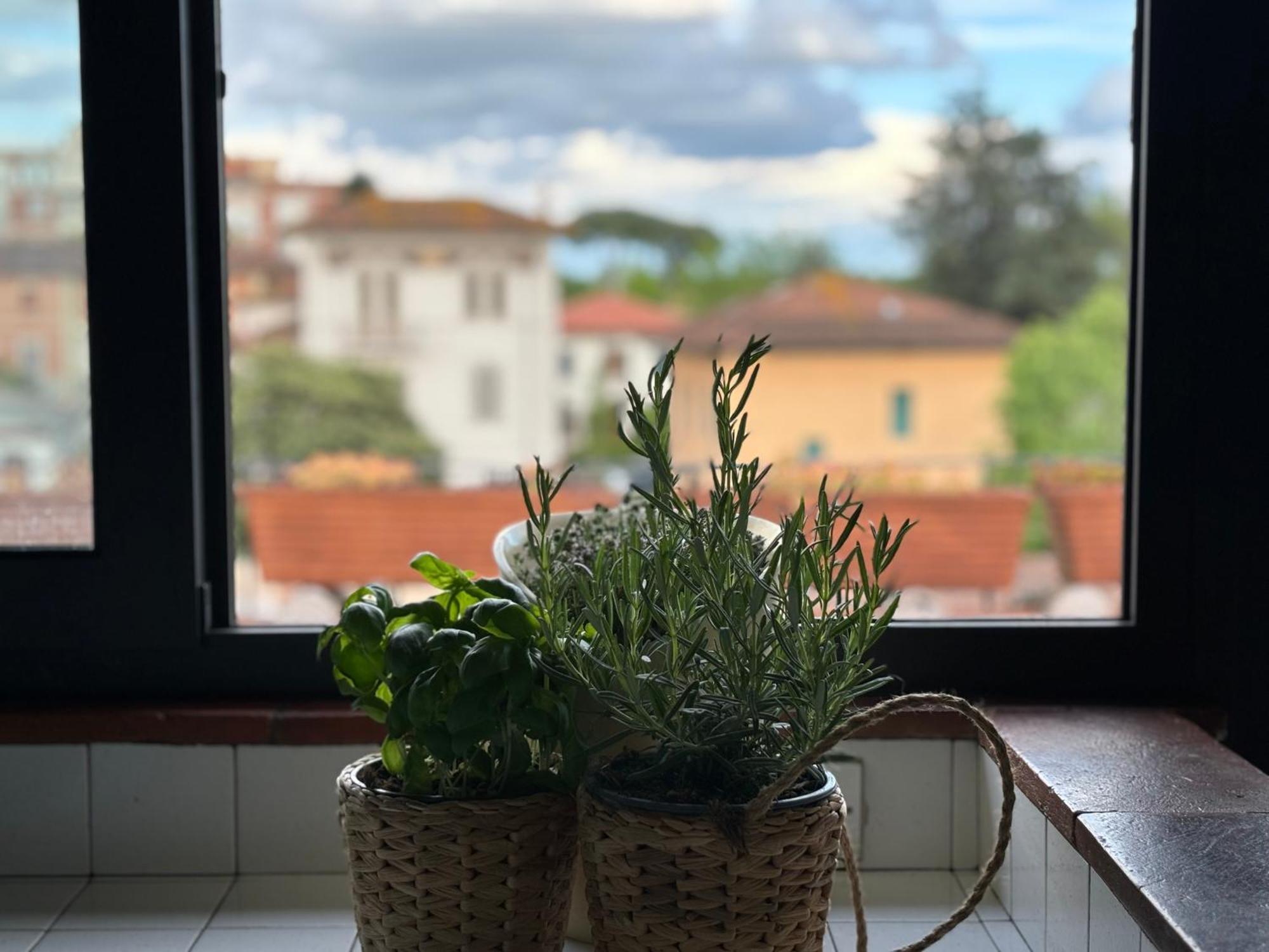 Lovely Apartment Λούκα Εξωτερικό φωτογραφία